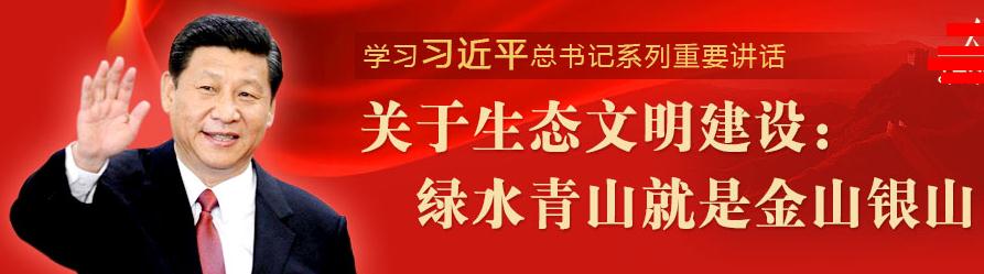 绿水青山就是金山银山学习体会_绿水青山就是金山银山心得体会