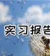 2020实习报告范文大全_实习报告心得体会