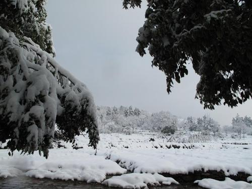 学生作文《第一场冬雪》范文
