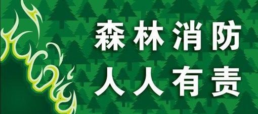 小学五年级作文《森林防火》范文