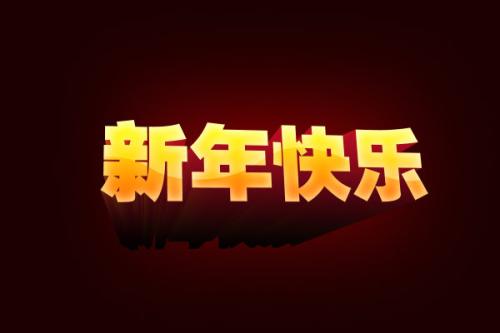 描写新年的小学生作文