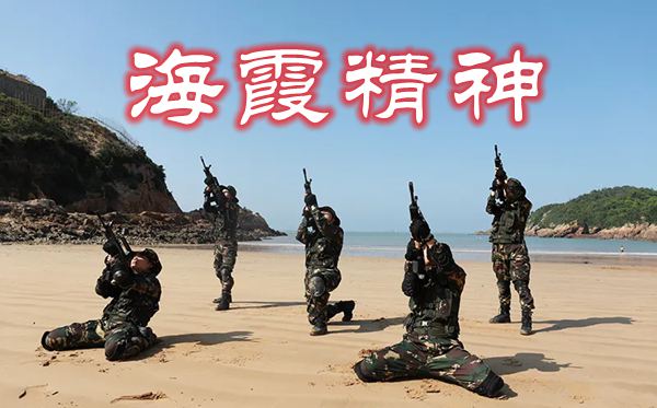 2020海霞精神学习心得体会范文