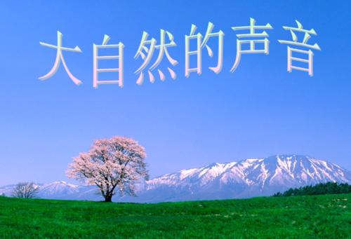 优秀作文《大自然的声音》