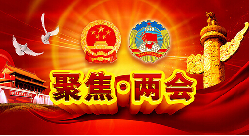 2020年全国两会学习研讨发言