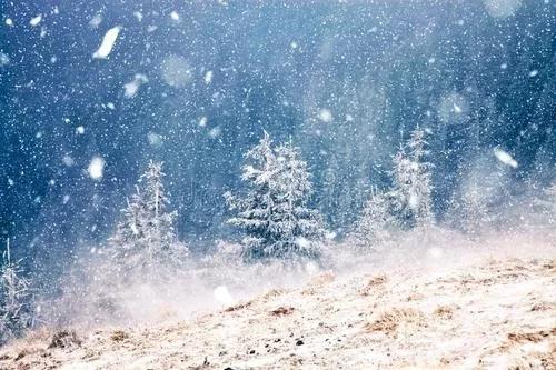雪，开在天空的六角花