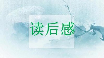 皮皮鲁传500字读后感范文
