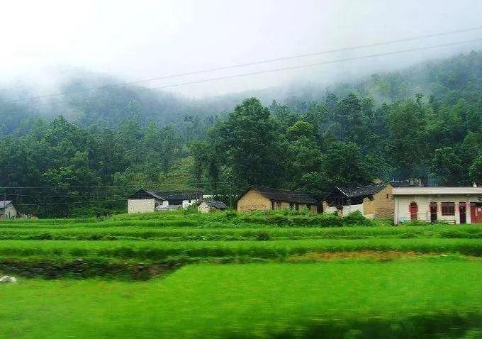 细雨霏霏
