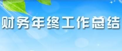 2020医院财务科人员年度工作总结