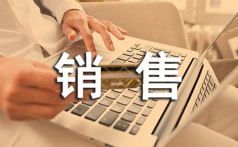 汽车行业销售人员年度总结范文