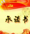 承诺书范本大全_承诺书模板大全