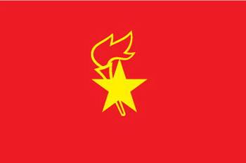 2020一年级加入中国少年先锋队申请书范文