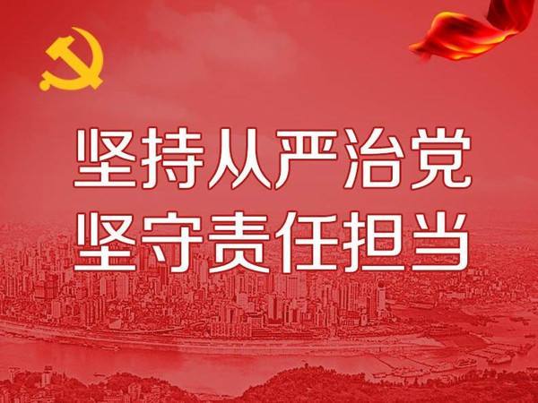 从严治党主题经验材料_两个责任