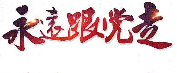 2020基层党支部换届选举过程