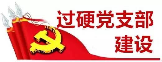 关于过硬党支部建设方案情况汇报