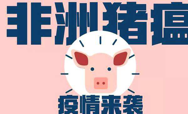非洲猪瘟防控常识