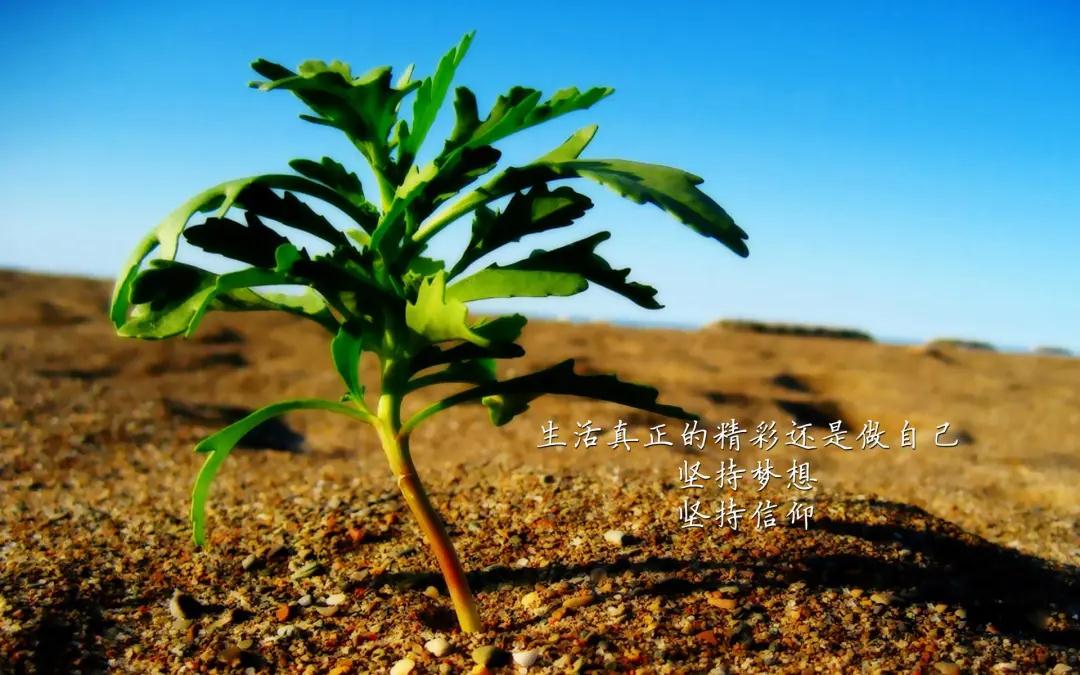 散文让尘世充满温暖