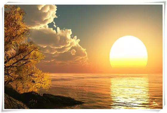 一季柔情，芬芳了谁的流年