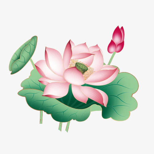 2020小学美术教学学期计划范文