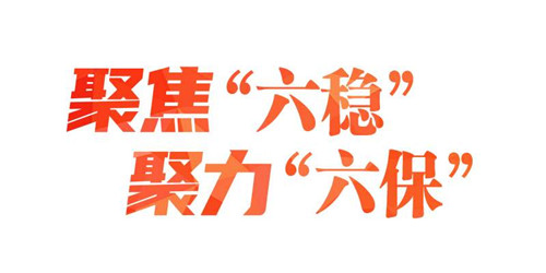 专题会议发言_把握“六保”