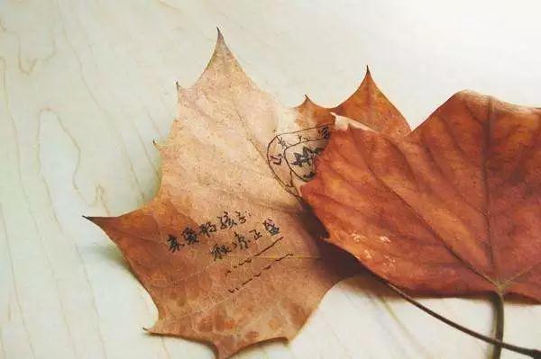 生命的黄昏，哀叹与寂寞将