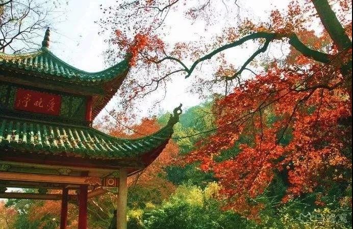 “人穷别说话，位卑莫劝人”，后面两句更经典，没点文化还不知道