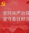 从严治党交流发言材料_从严治党心得体会2020	