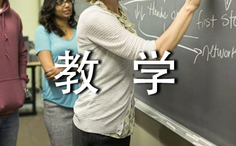 实践活动教学工作总结