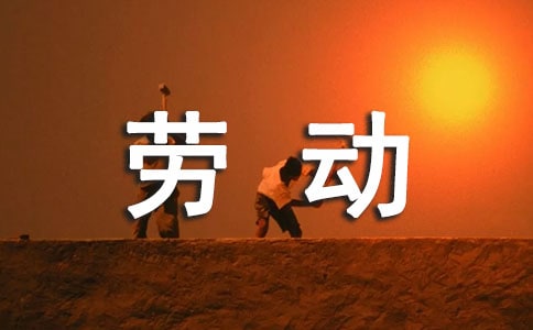 社区劳动保障工作计划
