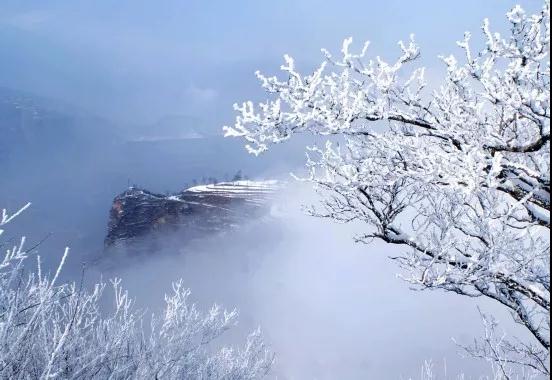 杨绛:很干净的4句话,读懂受用一生