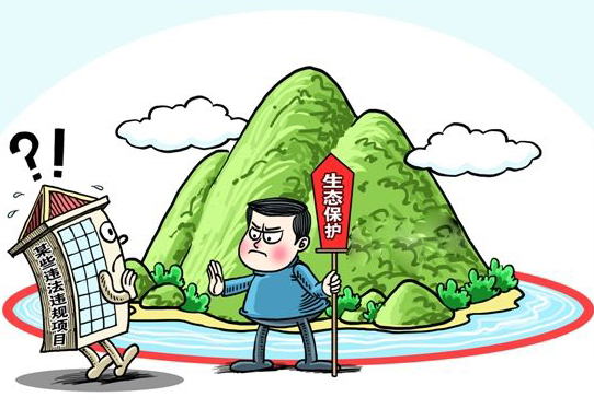 20xx林业局生态保护工作总结