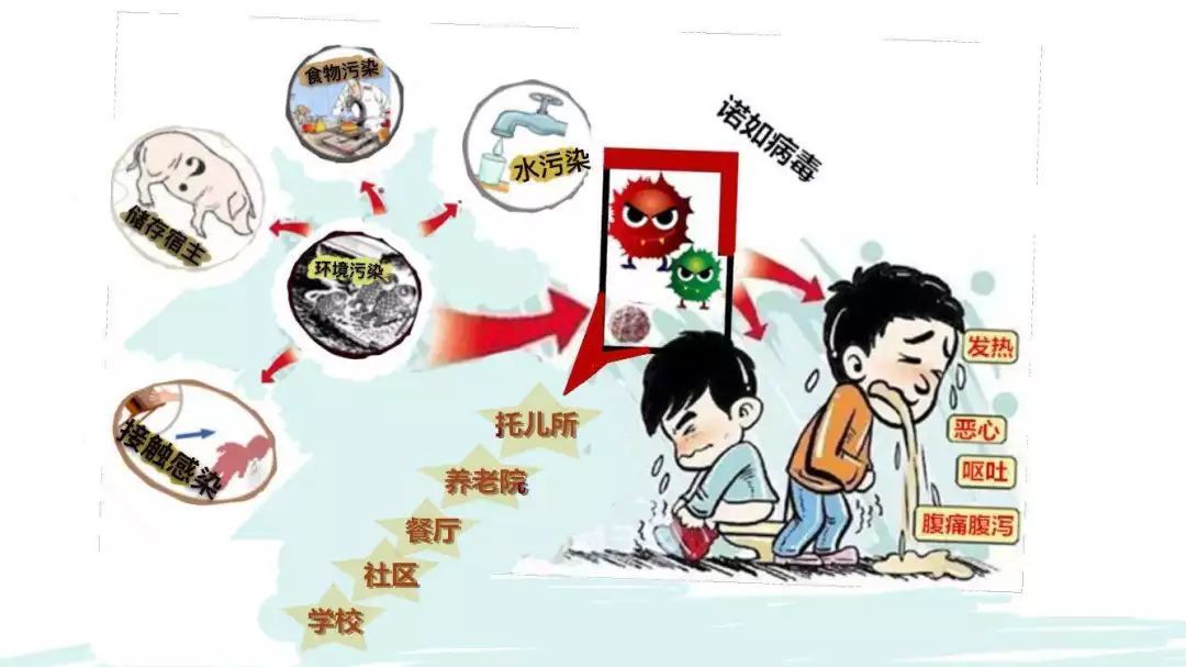 幼儿园疫情防控专用隔离室设施设备管理制度