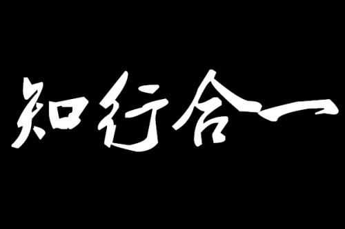 优秀作文知行合一新青年心得