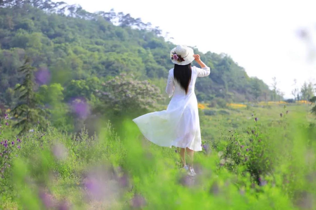 女人，愿你这样活着!