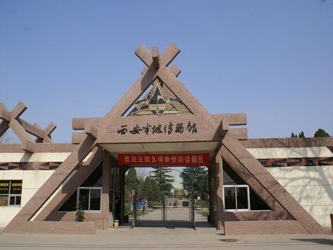 介绍陕西景点小雁塔和半坡博物馆的导游词