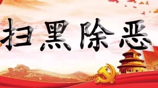 2020扫黑除恶讲话稿范文材料范文大全