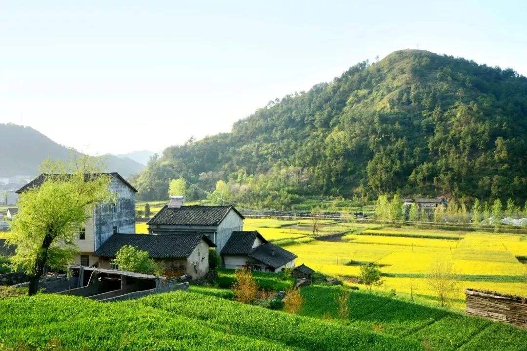 2020脱贫攻坚乡村振兴优秀范文5篇