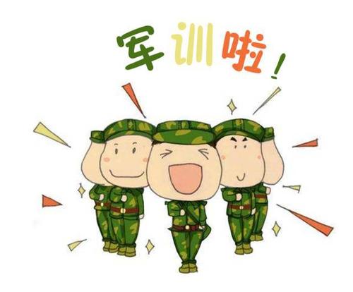 军训的感受及总结800字精选5篇