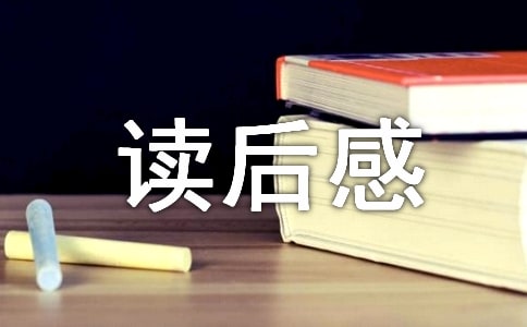 《水浒传》读后感600字