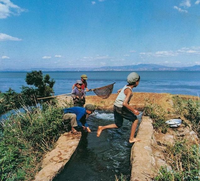 美文!今生，遇见你，足矣!