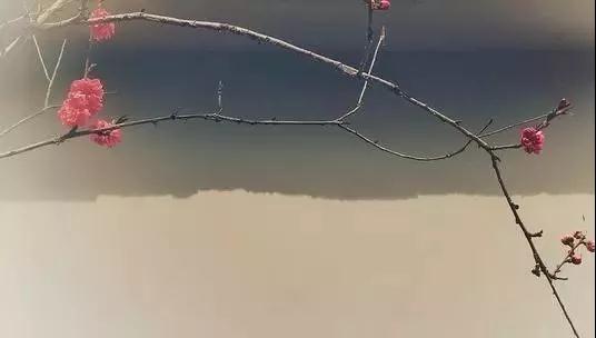 散文 