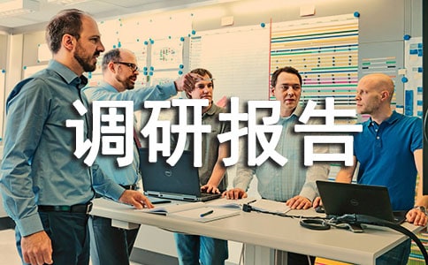 2020年党建主题教育个人工作调研报告范本