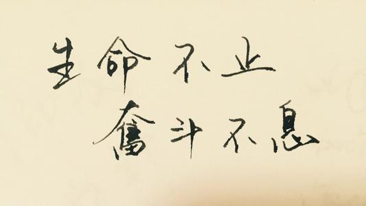 2020关于奋斗的高中生作文