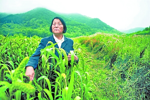申纪兰人物事迹材料精选
