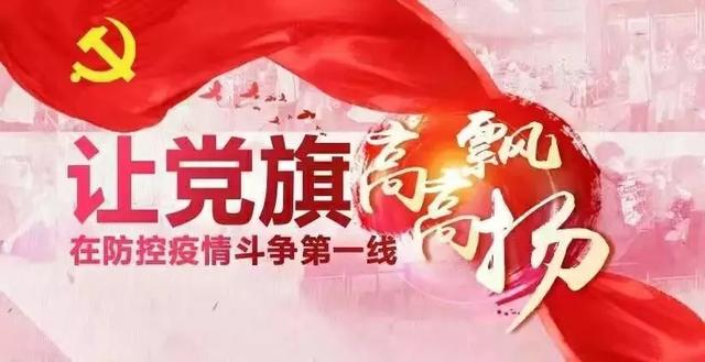 2020抗疫一线，党旗红心得总结