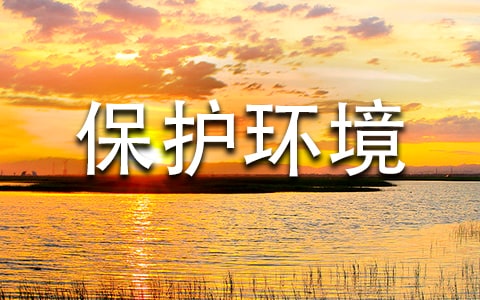 学生关于环保的课前演讲稿范文