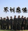 军训总结感悟_大学生军训感悟心得