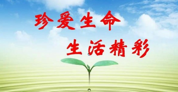主题教育班会:珍爱生命方案