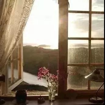 不慌不忙地坚强，安安静静地盛开