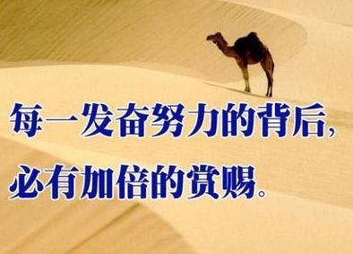 精选关于辛苦工作励志感言句子