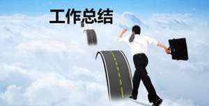 IT试用期转正工作总结报告